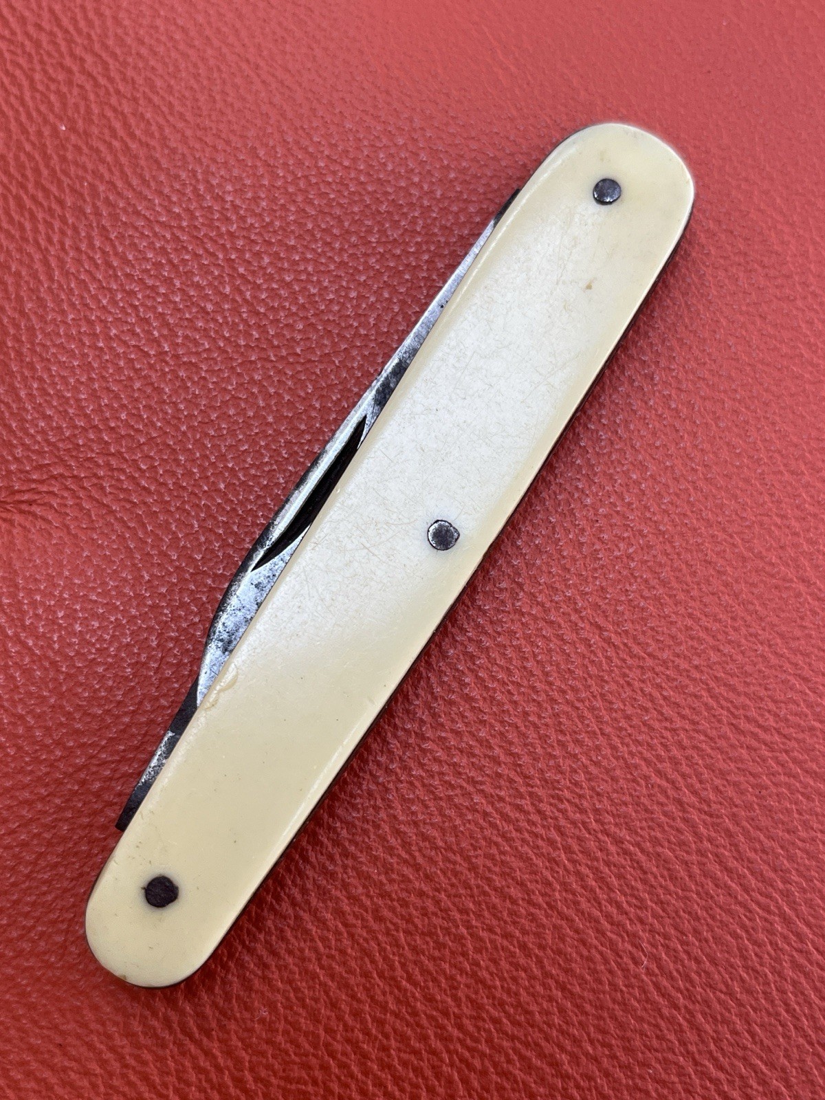 Antique WRAGGS Cutler Sheffield 2 Blade Pen Knife Cream Celluloid Pocket Knife