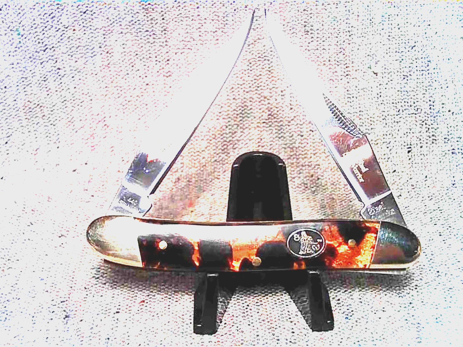 Pocket Knife Classic Muskrat Tortoise Shell (ITS) Handles 2-Clip Blades , 3-1/2″