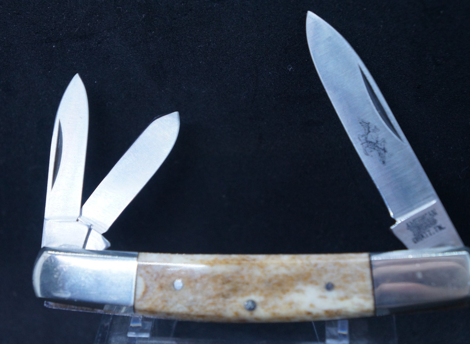 American Blade Chatanooga TN AB-20 Stag Bone 3 blade Whittler Knife 1982-84