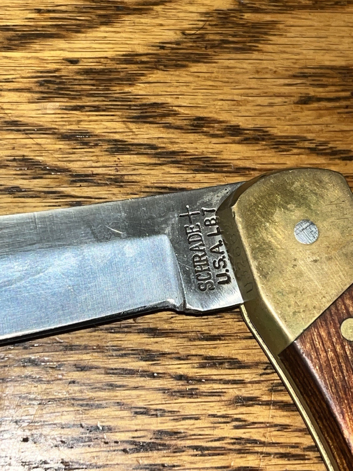 Schrade+ USA LB7 Big Bear Paw Lock Back Knife Serial #U32662 With Sheath