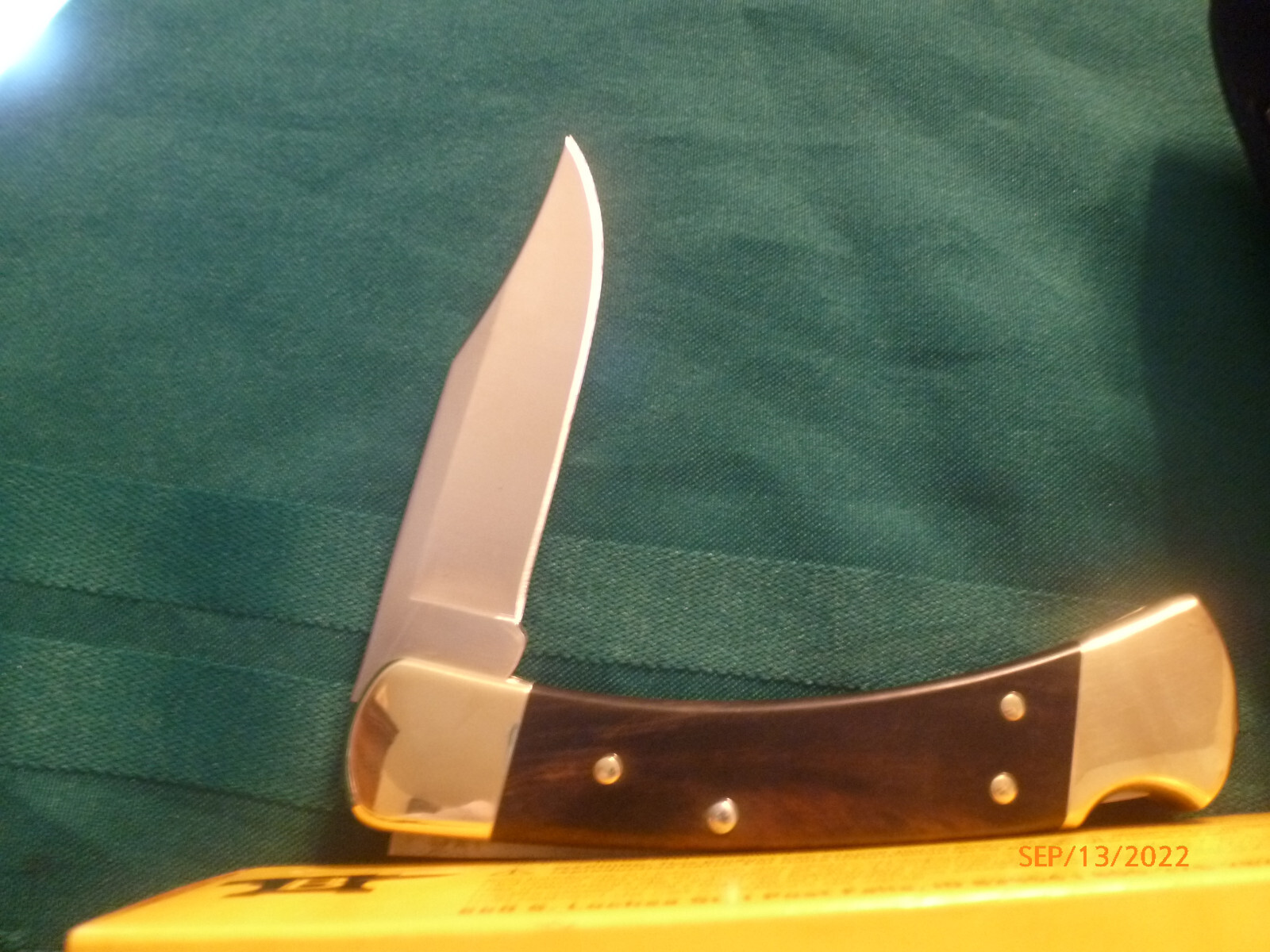 Buck 110 Ebony Folding Hunter Lockback Knife with Leather Sheath – New in Box
