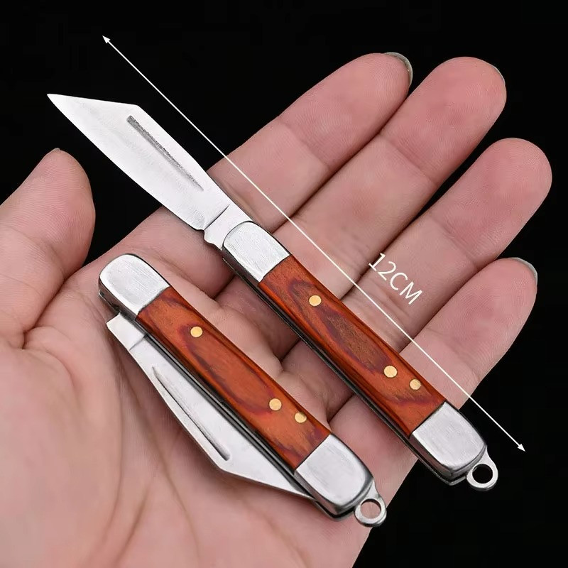 Mini Folding Pocket Knife Keychain EDC Stainless Steel Camping Tool