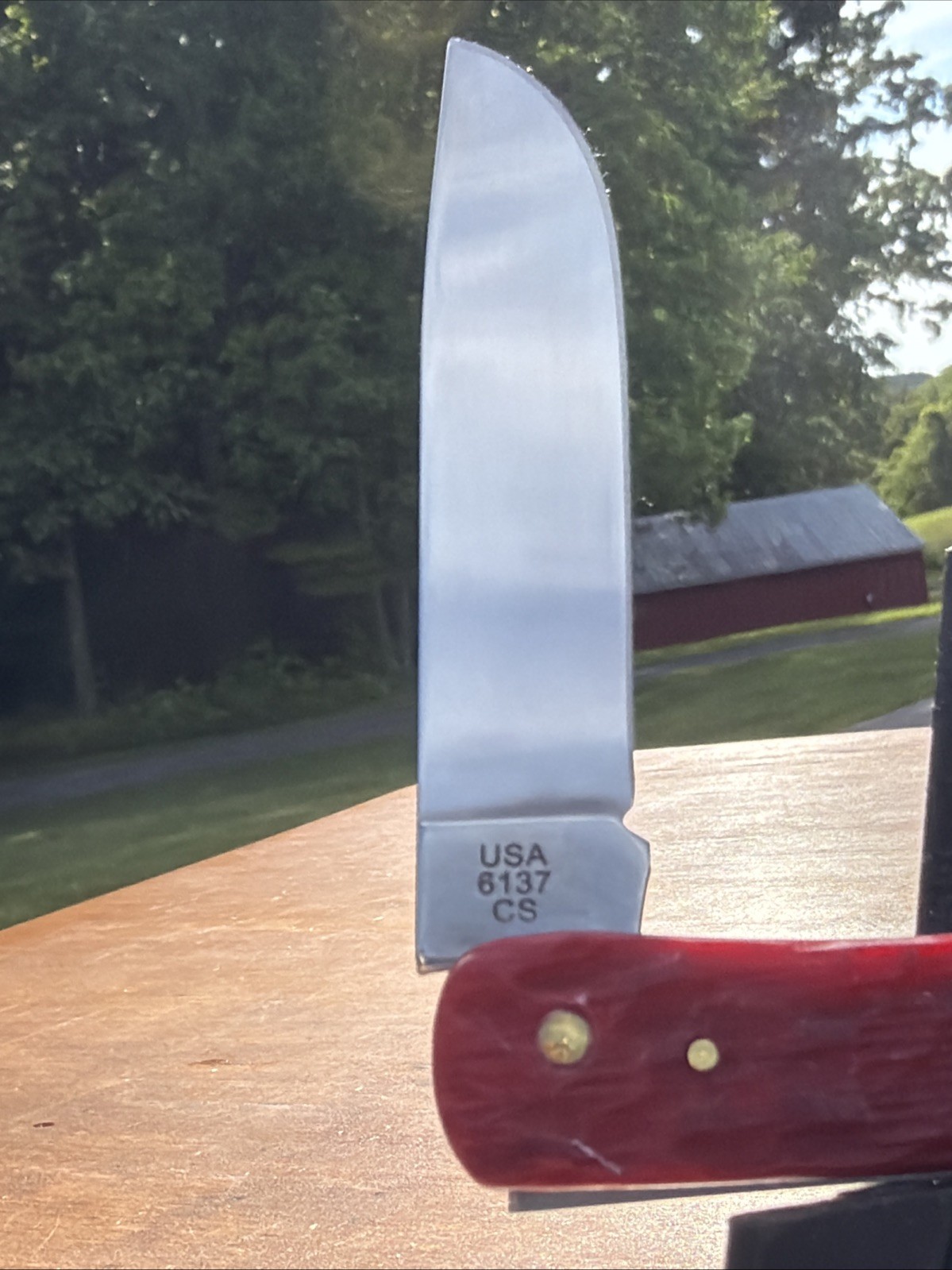 Case XX 2026 Dark Red Peach Seed Jig Bone 6137 CS Sod Buster Jr. Knife