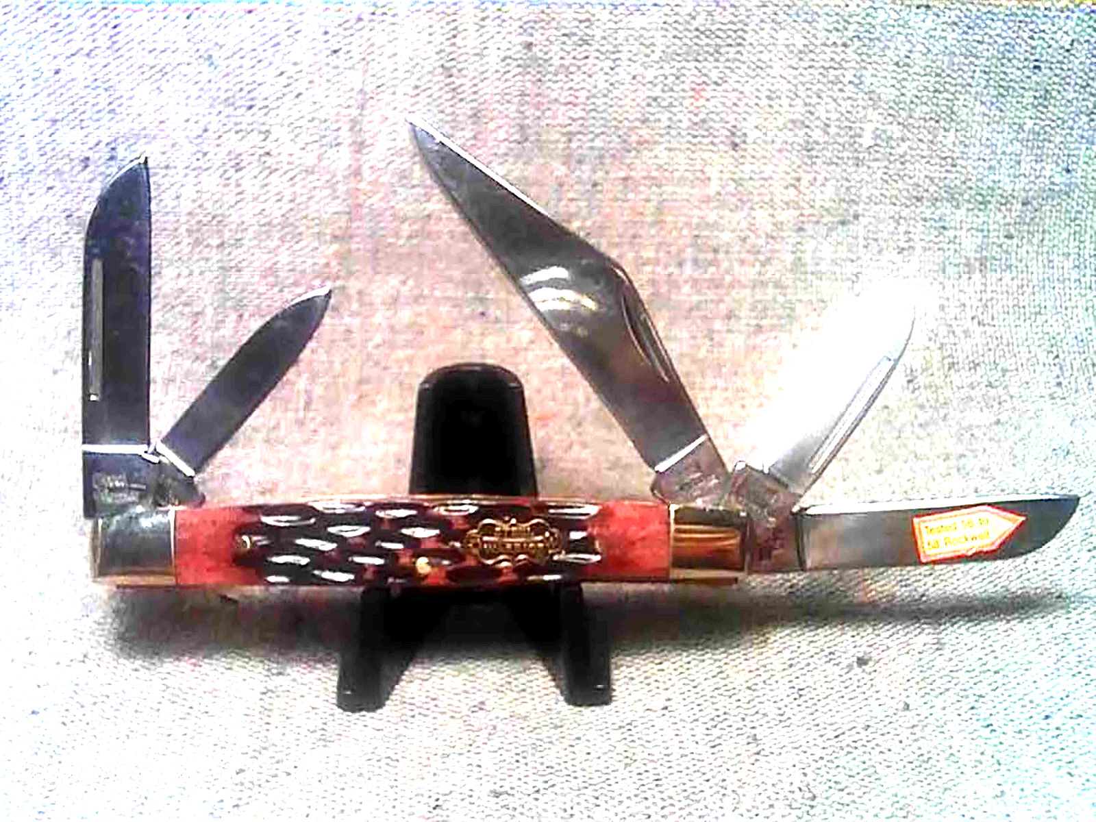 SALE! Classic 5-Blade Kentucky Congress Knife Autumn Brown Bone Handles, 3-1/2″