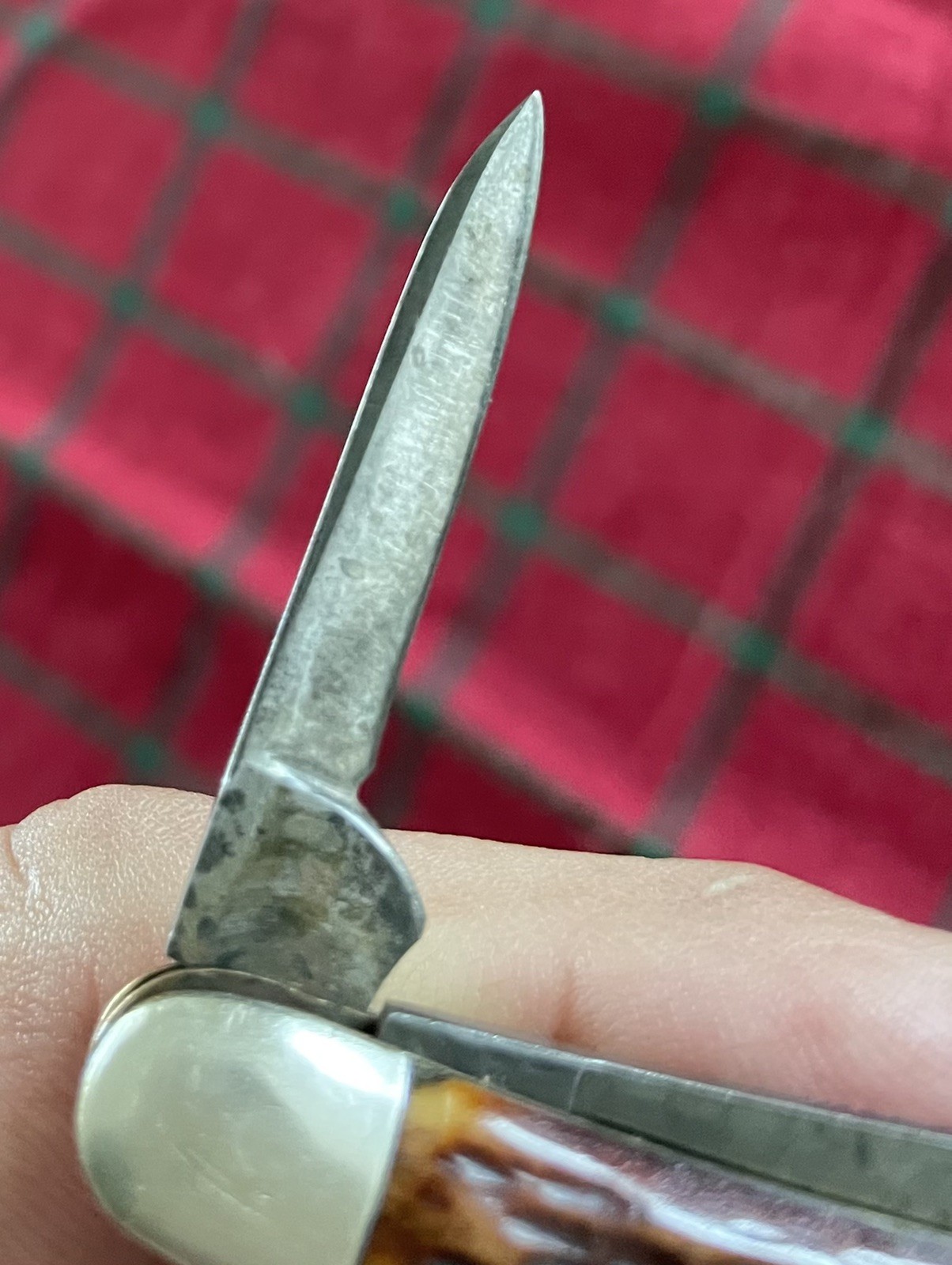 Vintage Wade&Butcher Whittled Bone Handle 2-Blade Pocket Knife Sheffield England