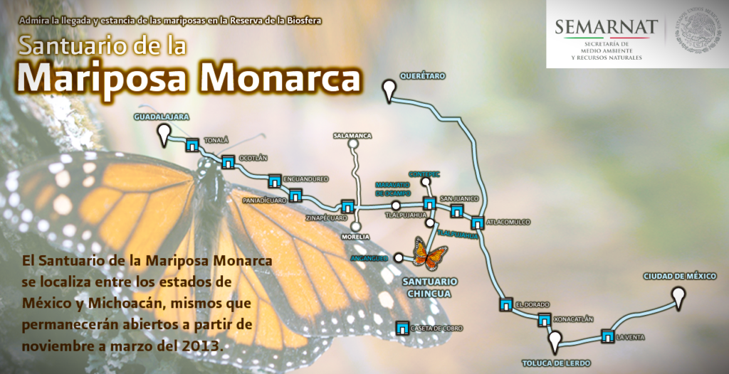 Fuente: https://www.gob.mx/semarnat/acciones-y-programas/santuario-de-la-mariposa-monarca